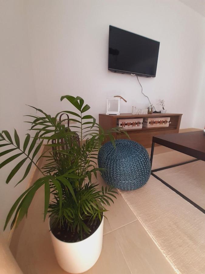 Apartment Macic Dub I コトル エクステリア 写真